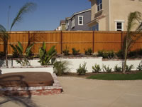 fences Wood Fence Staining