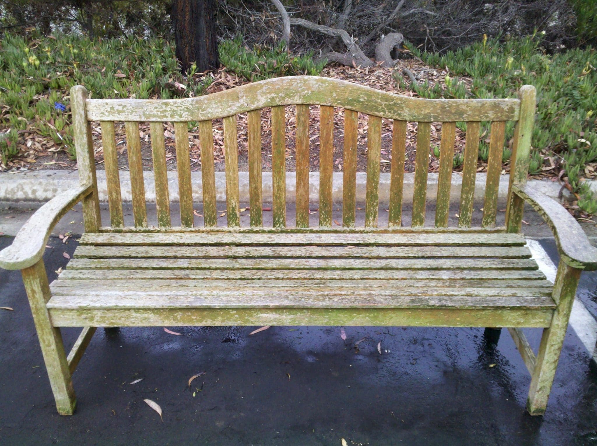 How to Know if your teak furniture or hardwood deck is ready for