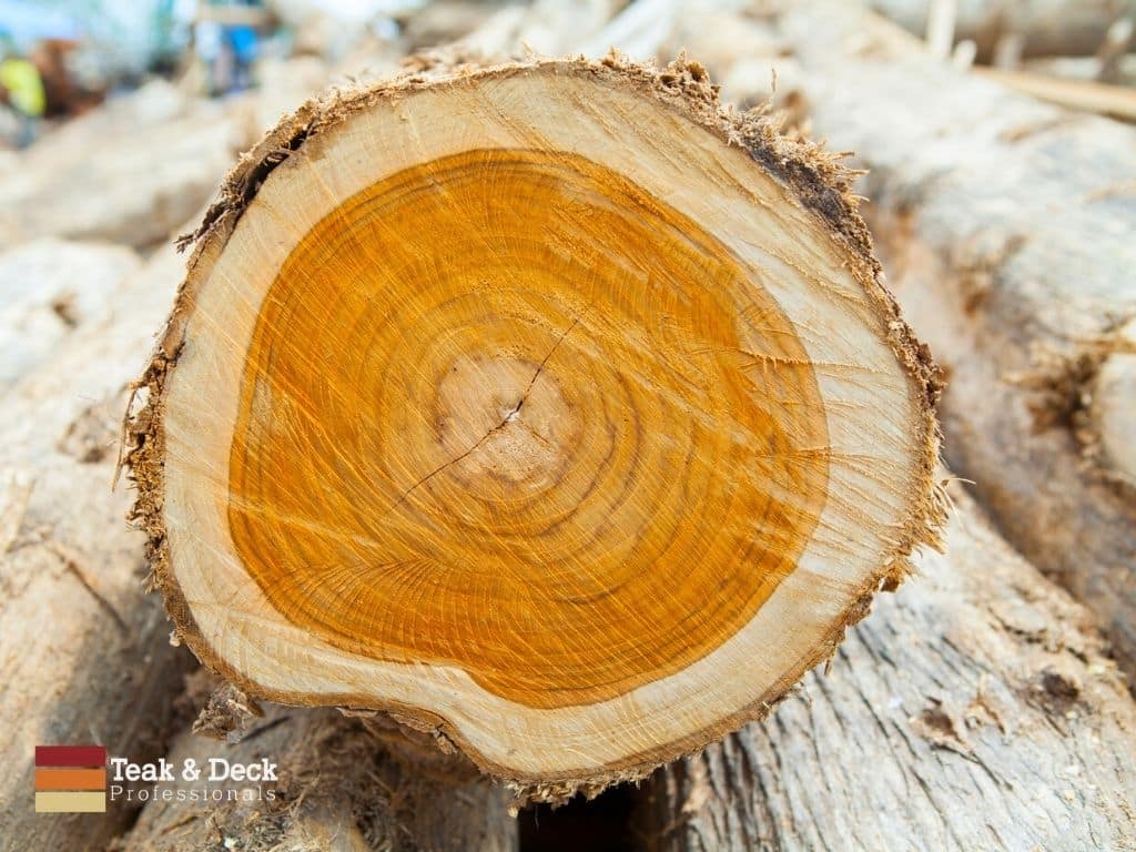 what is a teak wood
