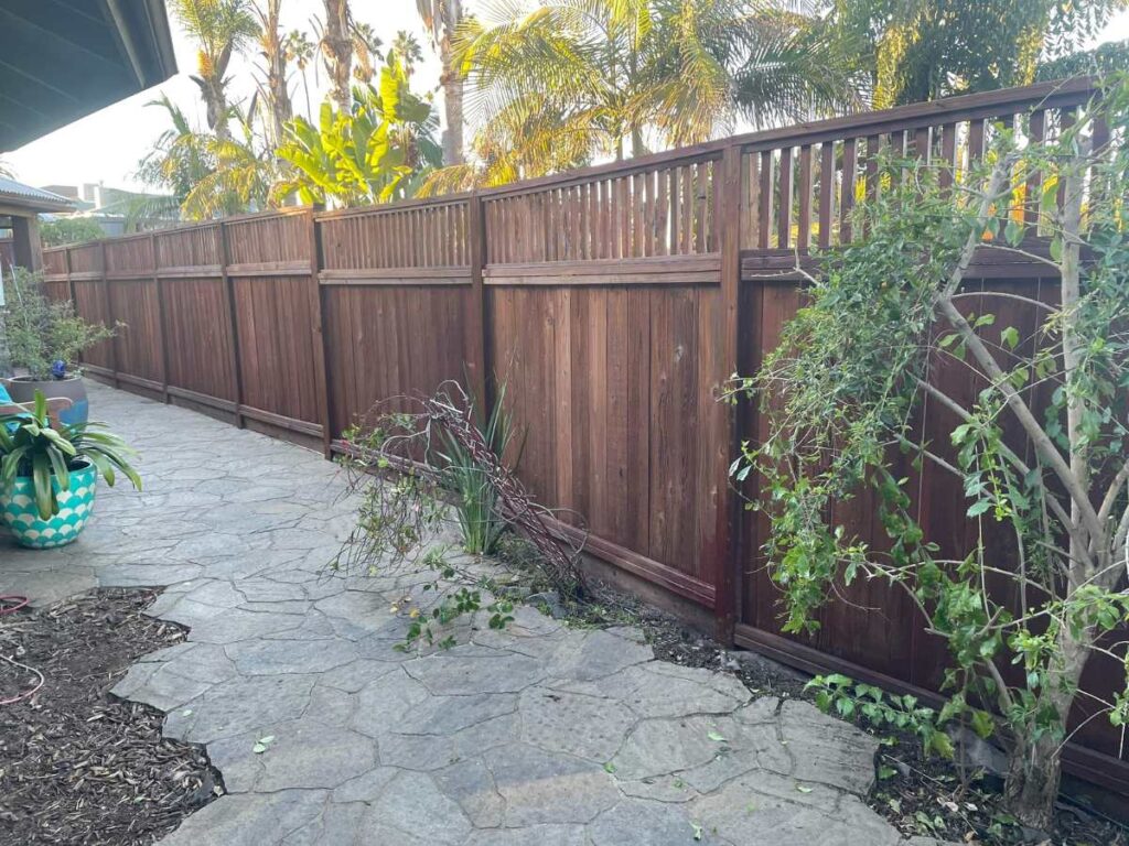 A stone path leads alongside a wooden fence, bordered by plants and palms, in a sunny outdoor setting.